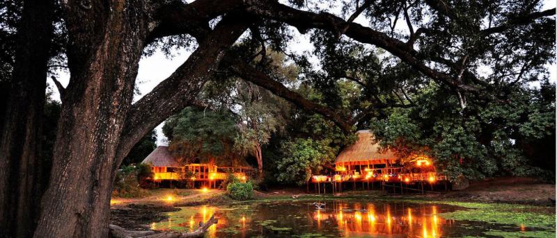 Real Bush Camp Safari Experience Tour