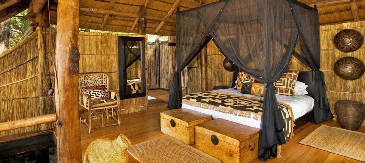 Real Bush Camp Safari Experience Tour