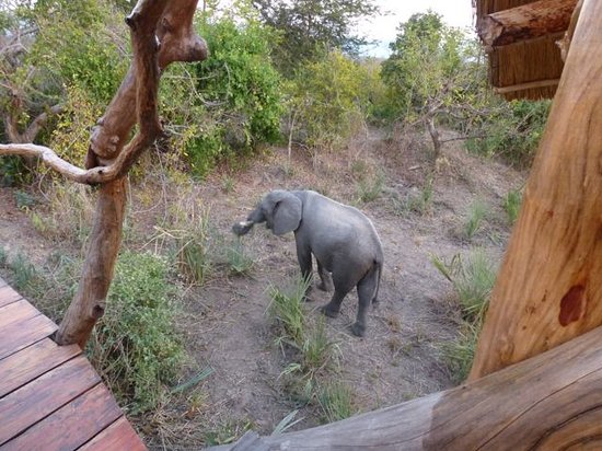 7 Days Bushmen Experience & Lake Malawi Tour