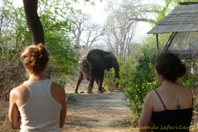 7 Days Bushmen Experience & Lake Malawi Tour