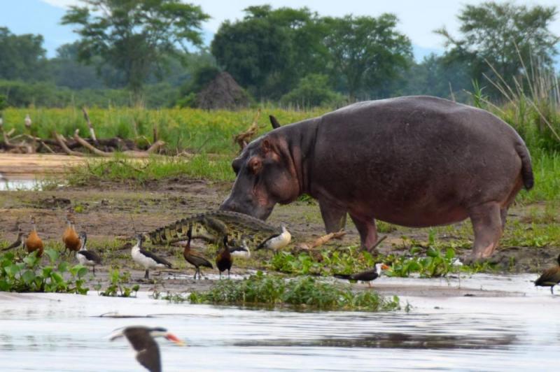7 Days Bushmen Experience & Lake Malawi Tour