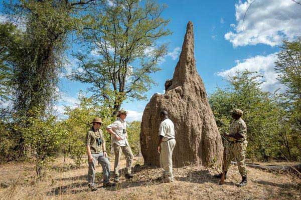 6 Days Victoria Falls & South Luangwa - Zambia tour