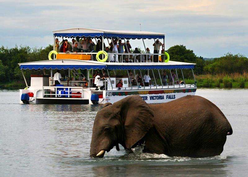 6 Days Victoria Falls & South Luangwa - Zambia tour