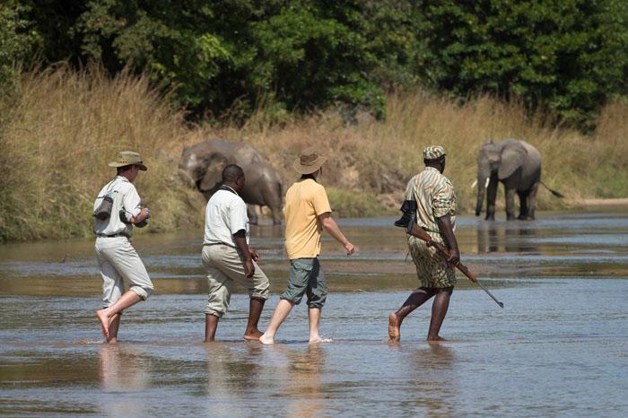 6 Days Victoria Falls & South Luangwa - Zambia tour