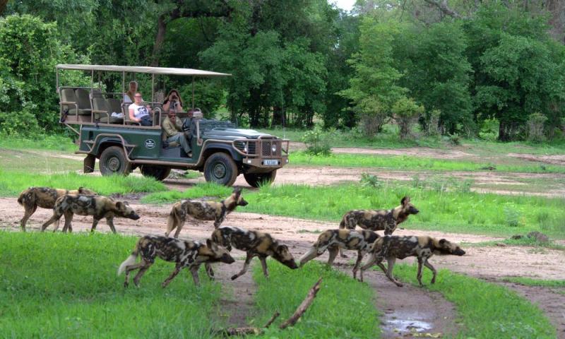 6 Days Victoria Falls & South Luangwa - Zambia tour