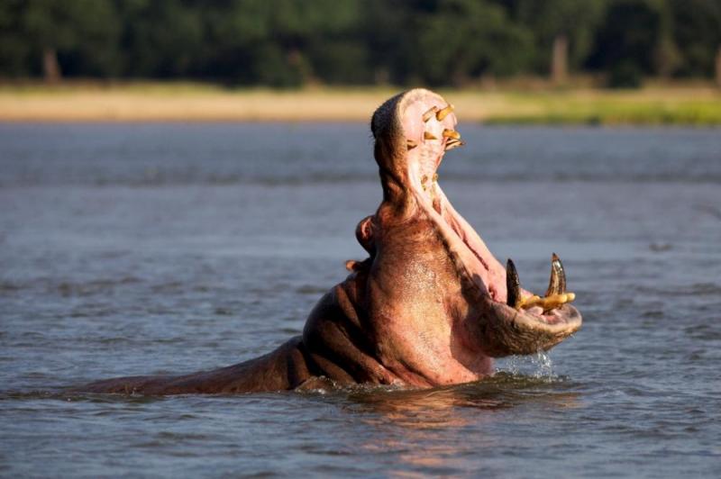 2N/3D Zambezi Short Canoe Trail Safari Package