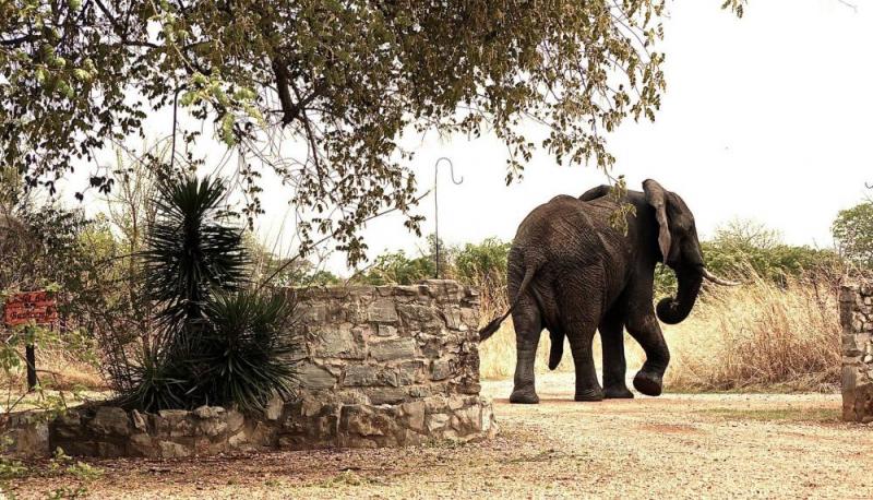 4 Days Kafue National Park Zambia Safari Tour