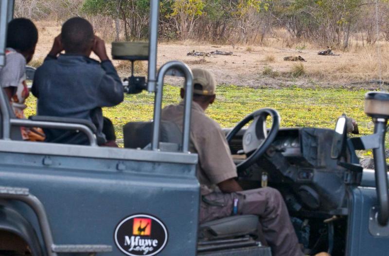 5 Days Explore South Luangwa Bush Camping Tour