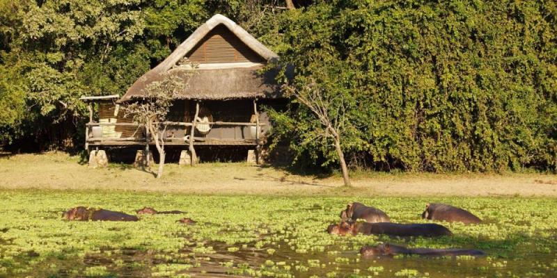5 Days Explore South Luangwa Bush Camping Tour