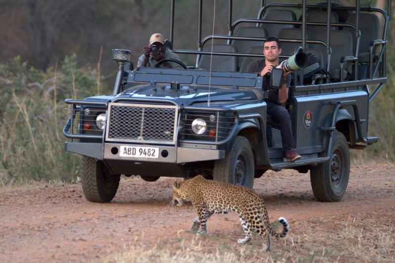 5 Days Explore South Luangwa Bush Camping Tour