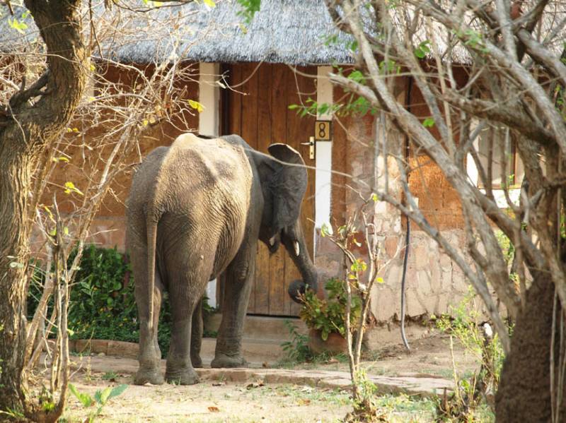 7 Days – Exciting Affordable Zambia Safari Tour
