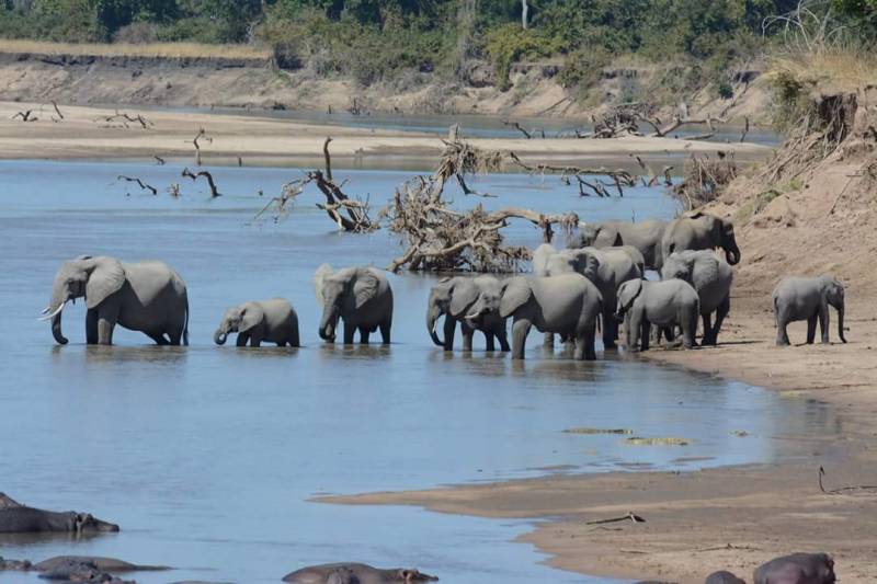 7 Days – Exciting Affordable Zambia Safari Tour