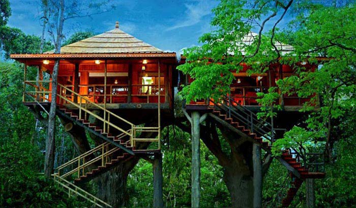 Periyar Tour With Treehouse Package
