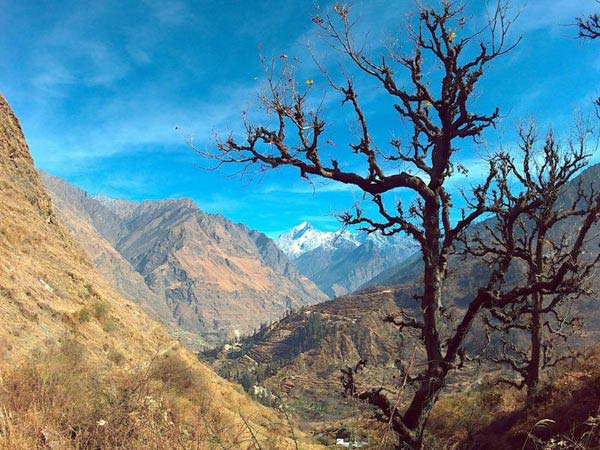 Kuari Pass Trek Tour