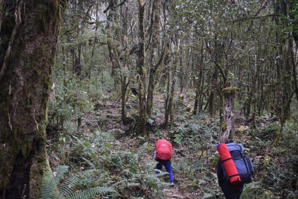 Phoktey Dara Trek Package