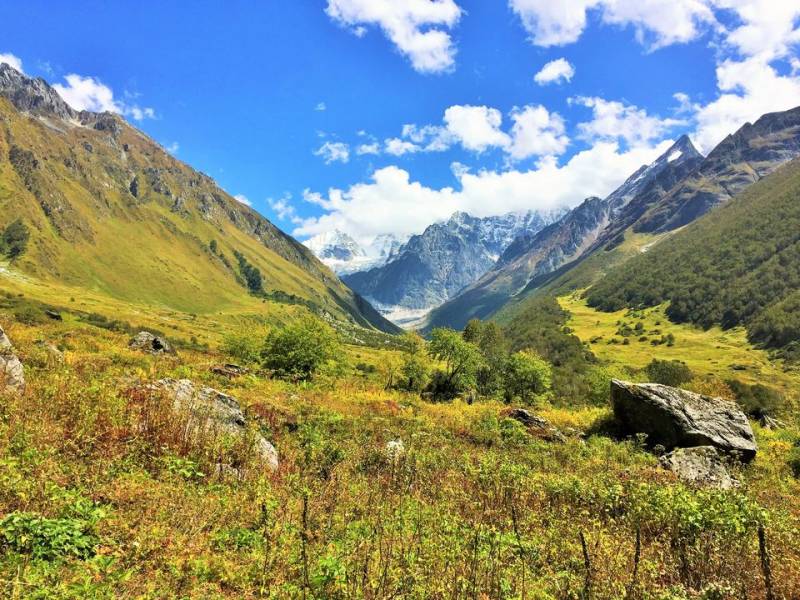 05 Nights 06 Days Valley of Flowers Tour