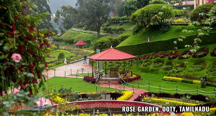 Ooty - Coimbatore 4 Nights 5 Days Tour Package