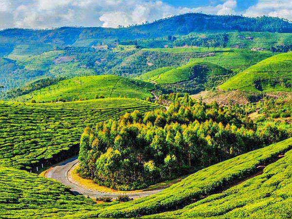 Coonoor With Ooty Tour