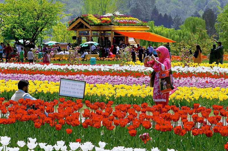 Kashmir Family Holiday Package