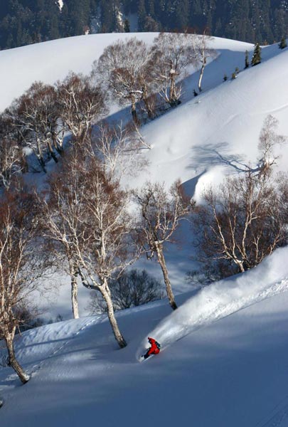 Skiing Holiday Package