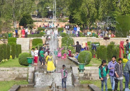 7 Nights  8 Days Kashmir Luxury Package