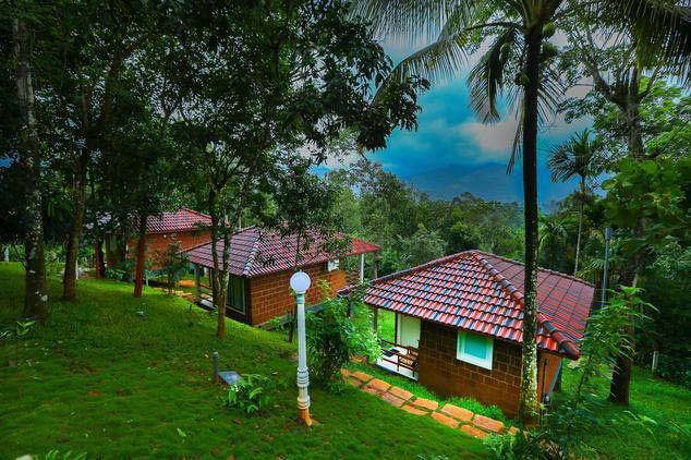A Weekend With Romatic Wayanad 3 Days / 2 Nights Tour