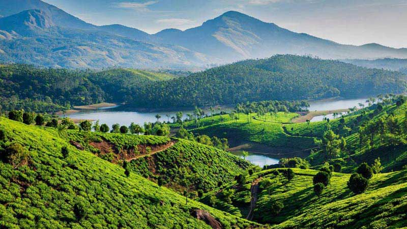 Misty Mountains And The Wildness Of Kerala  4 Days / 3 Nights