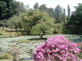 Hill Capital Tour 2N - 3D