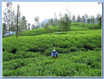 Hill Capital Tour 2N - 3D