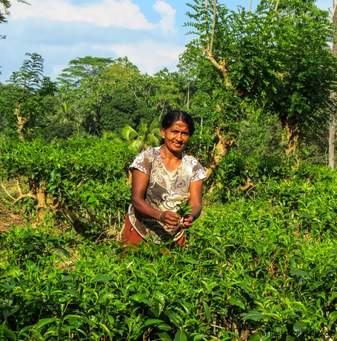 Hill Capital Tour 2N - 3D