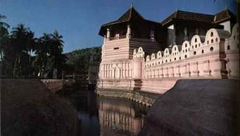 Sri Lanka Short Tour