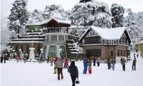 East Bourne - A Pine Forest Resort, Shimla Package Tour