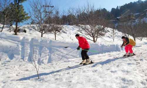 Snow Peak Retreat Manali Honeymoon Package 3 Nights