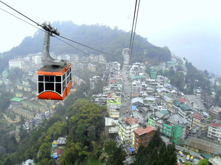 Darjeeling Delights Tour