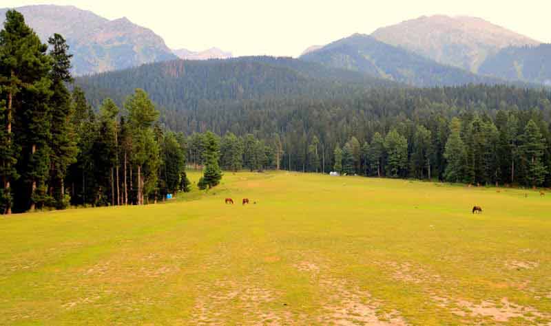 Amorous Kashmir Tour