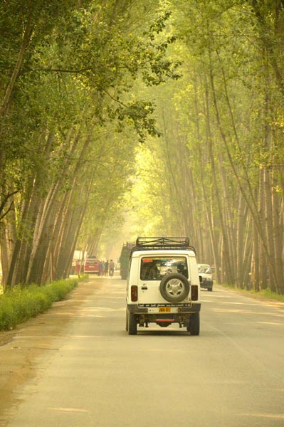 Amorous Kashmir Tour