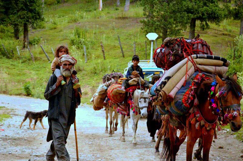 Amorous Kashmir Tour