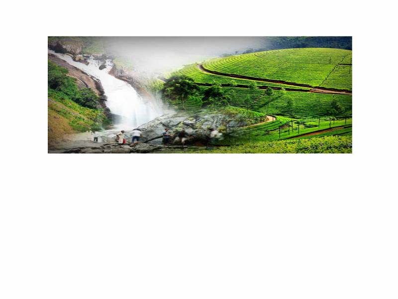 Glimpse of Munnar 1 N 2 D