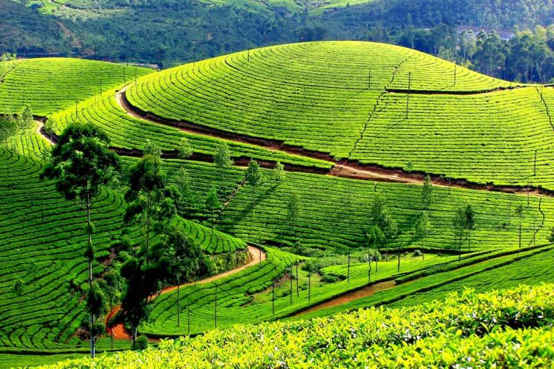 Kerala Package- 03 Nights/04 Days