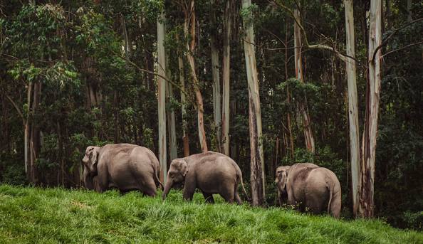 Kerala with Kanyakumari