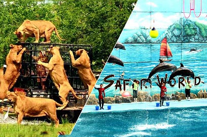 Romantic Pattaya & Bangkok Tour