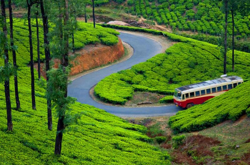 Tootle Kerala Summer Dhamaka Package