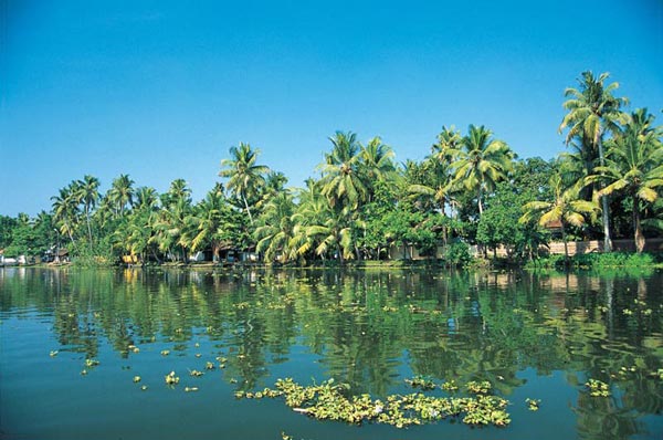 Kerala Backwaters With Beach Trip Package