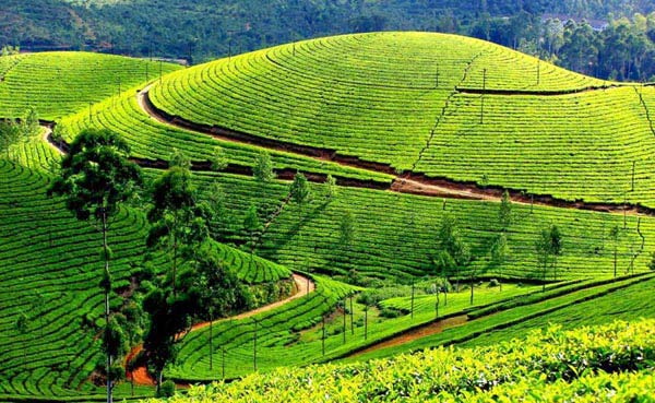 Kerala With Munnar Trip Package