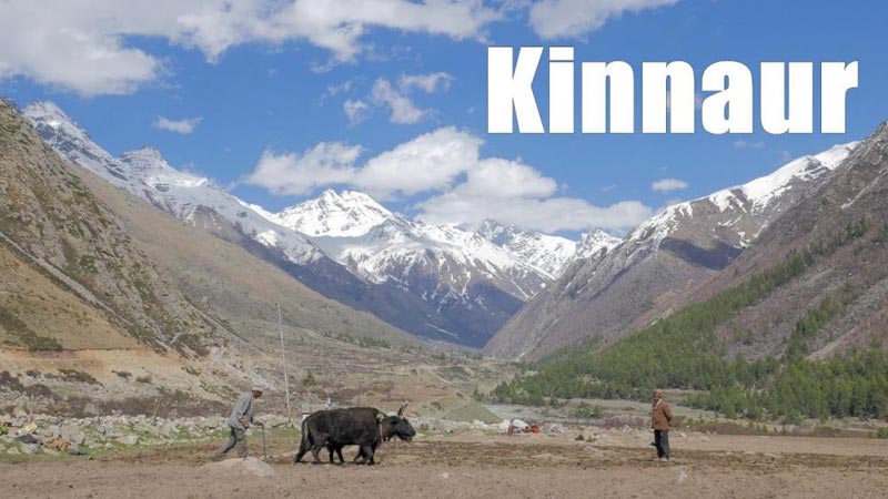 Tribal Kinnaur Package