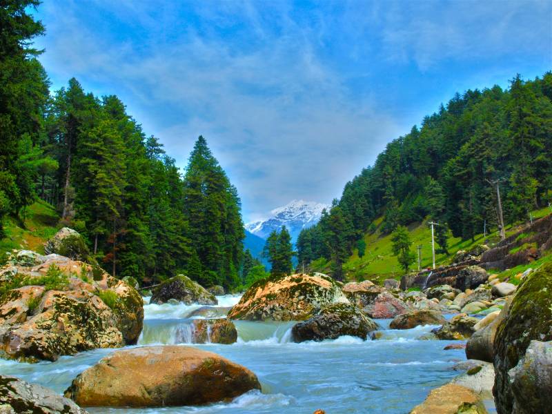 Jammu & Kashmir 6 Days Tour