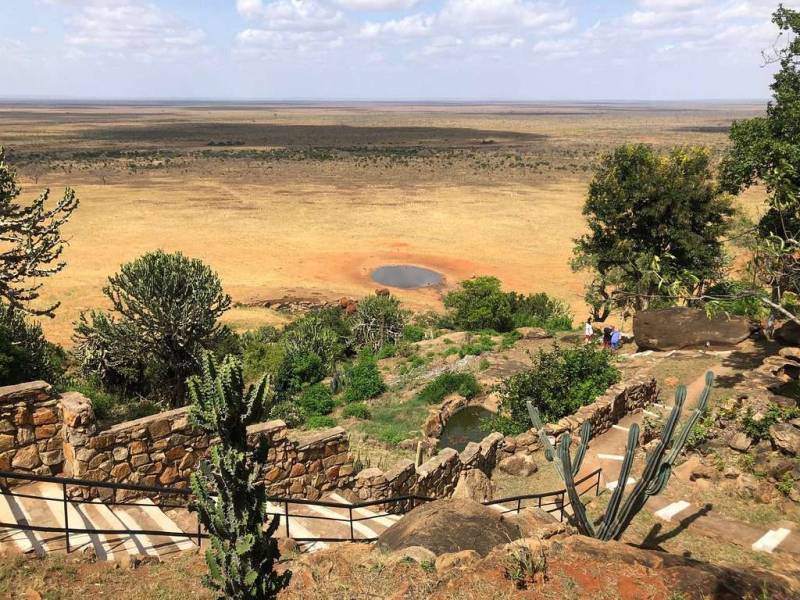 5 Days Kenyan Safari Luxury Tsavo Ambo Tour Image