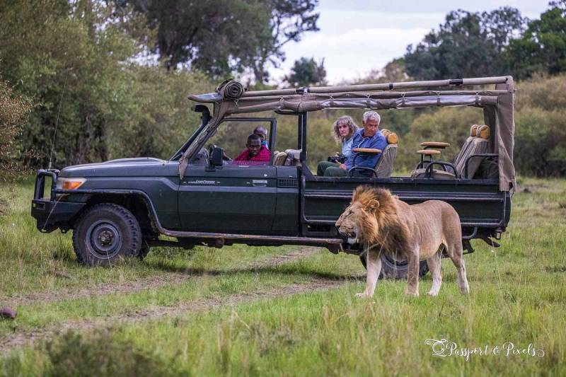 8 Days Kenya And Tanzania Safari Tour
