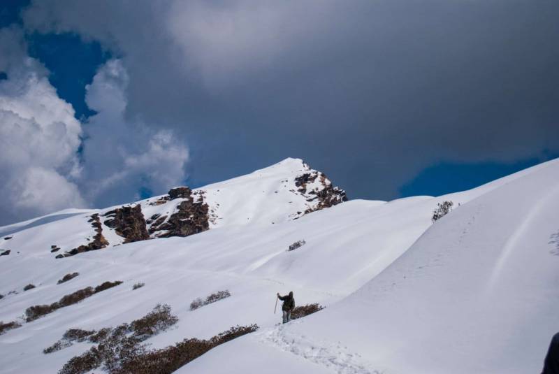 Uttarakhand (Chopta & Auli) Tour
