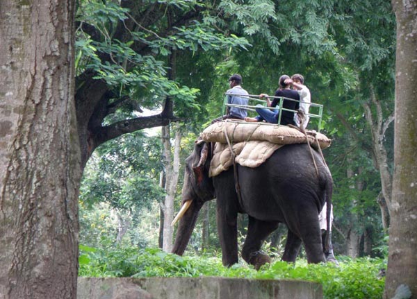 Magnificent Coorg Tour Package